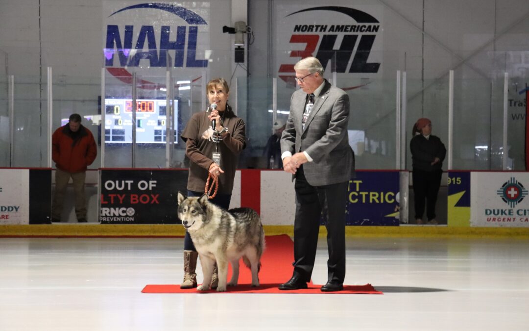 Ice Wolves honor Jyoti the wolf-dog