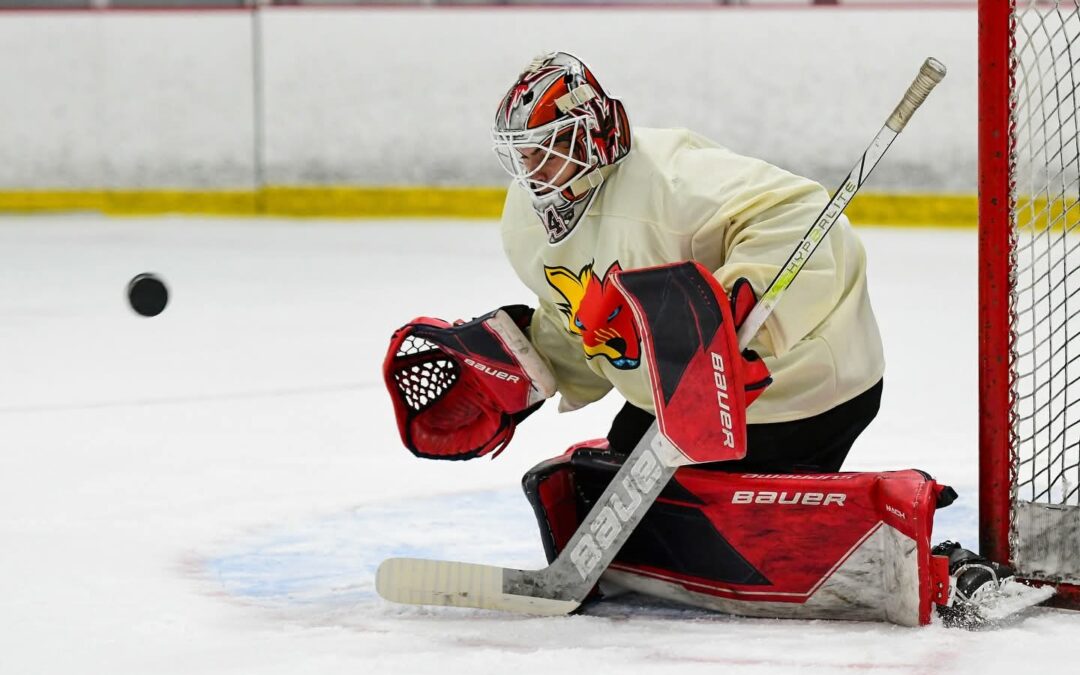 Ice Wolves Den – New Season Underway