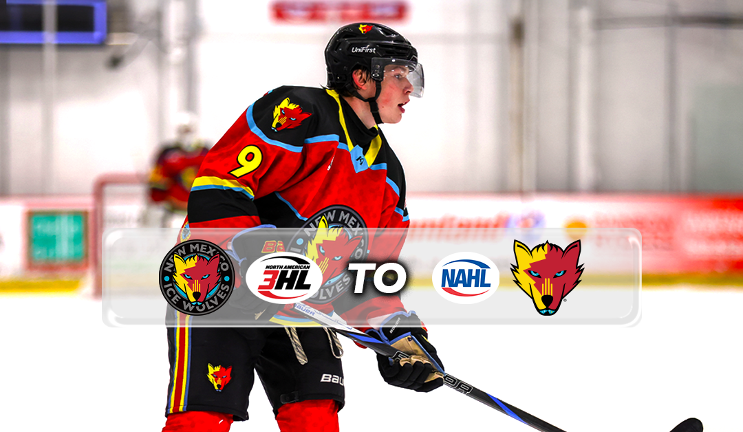 Caleb DeBruyne Called Up to NAHL Ice Wolves for 11.21 Game