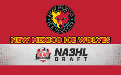 2026 Draft Recap